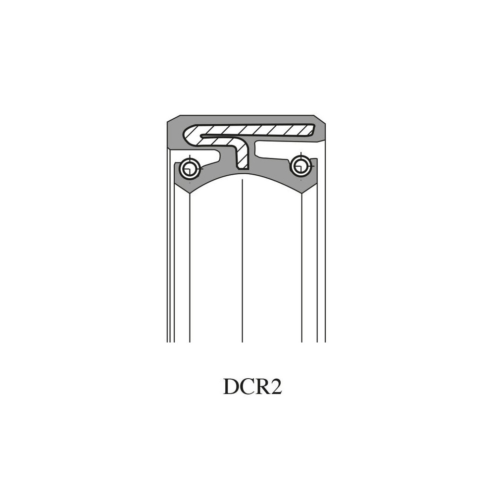 Paraolio DCR2 16x8x10 Kit Revisione ARIETE
