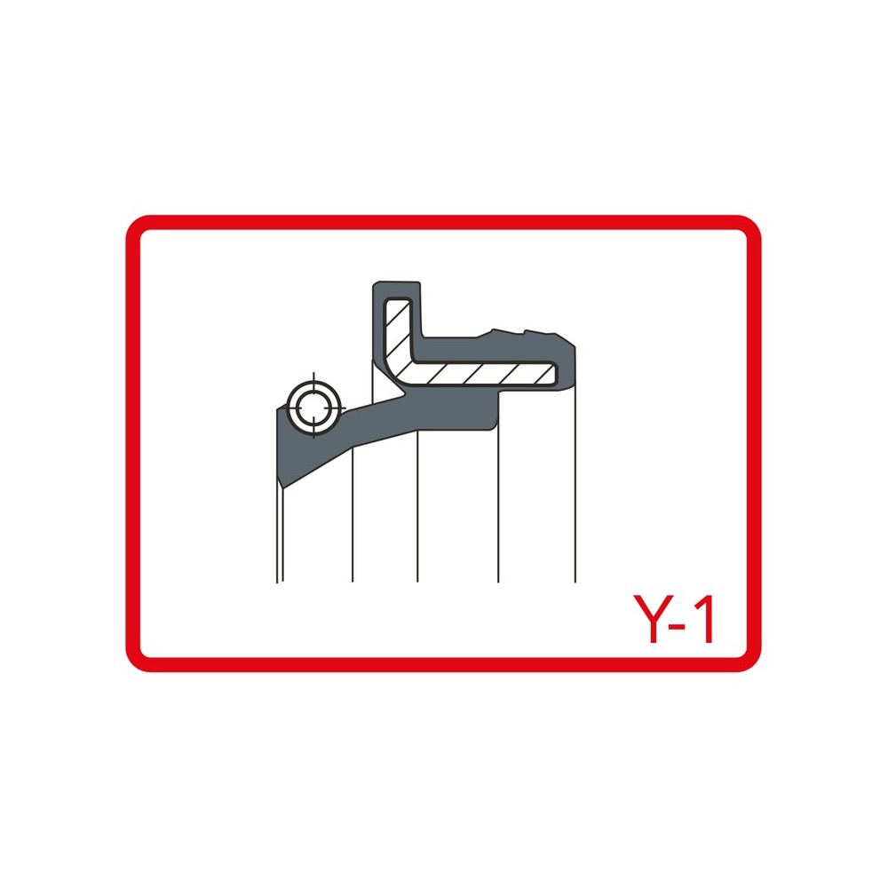 KIT PARAPOLVERE 48x58,5/62x6/11,5 Y-1 Beta RR Enduro 300 15-17 ARIETE