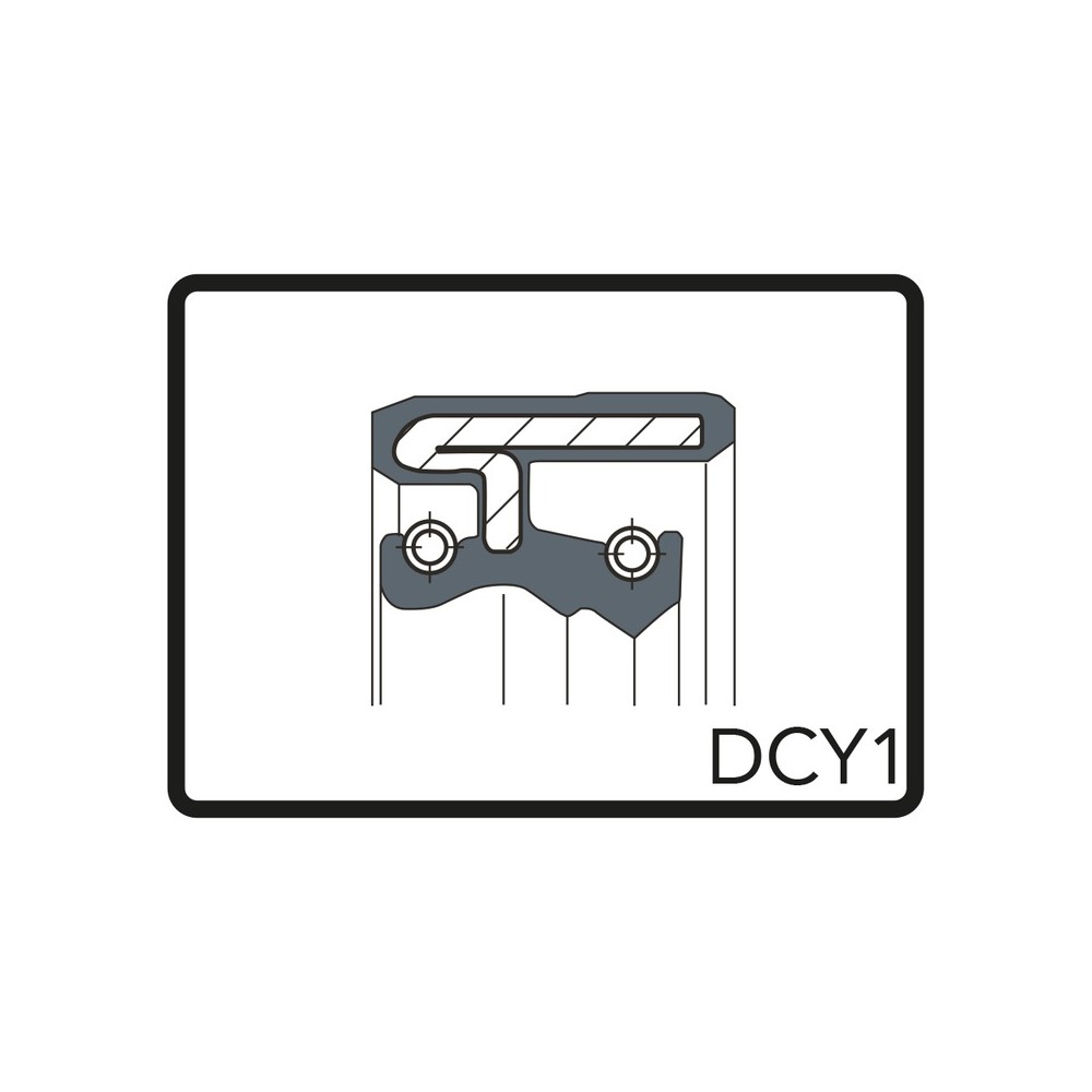 KIT PARAOLI 30x42x8/11 DCY1 Sport City One 125 08-10 ARIETE