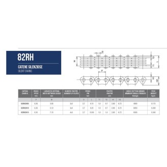 GIUNTO CATENA DISTRIBUZIONEHB2822005  MORSE