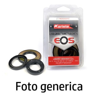 KIT PARAOLI GANASCE 50  ARIETE