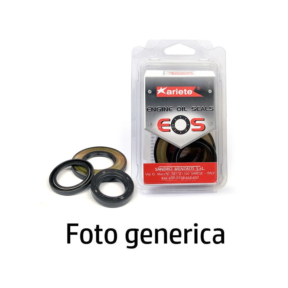 KIT PARAOLI GANASCE ANTERIORE POSTERIORE TM P/602-TM P/703  ARIETE