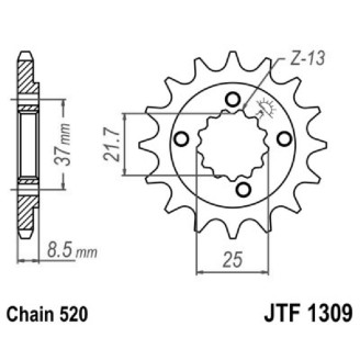 PIGNONE JT 1309 z13 TRX400X 05- JT