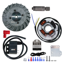 Electronic ignition kit Evok Iron Spark Vespa 50 Special-50 LNR-PK50-125125 Primavera-125 ET3 Ø20 - Flywheel machined from the Electronic Ignitions Evok