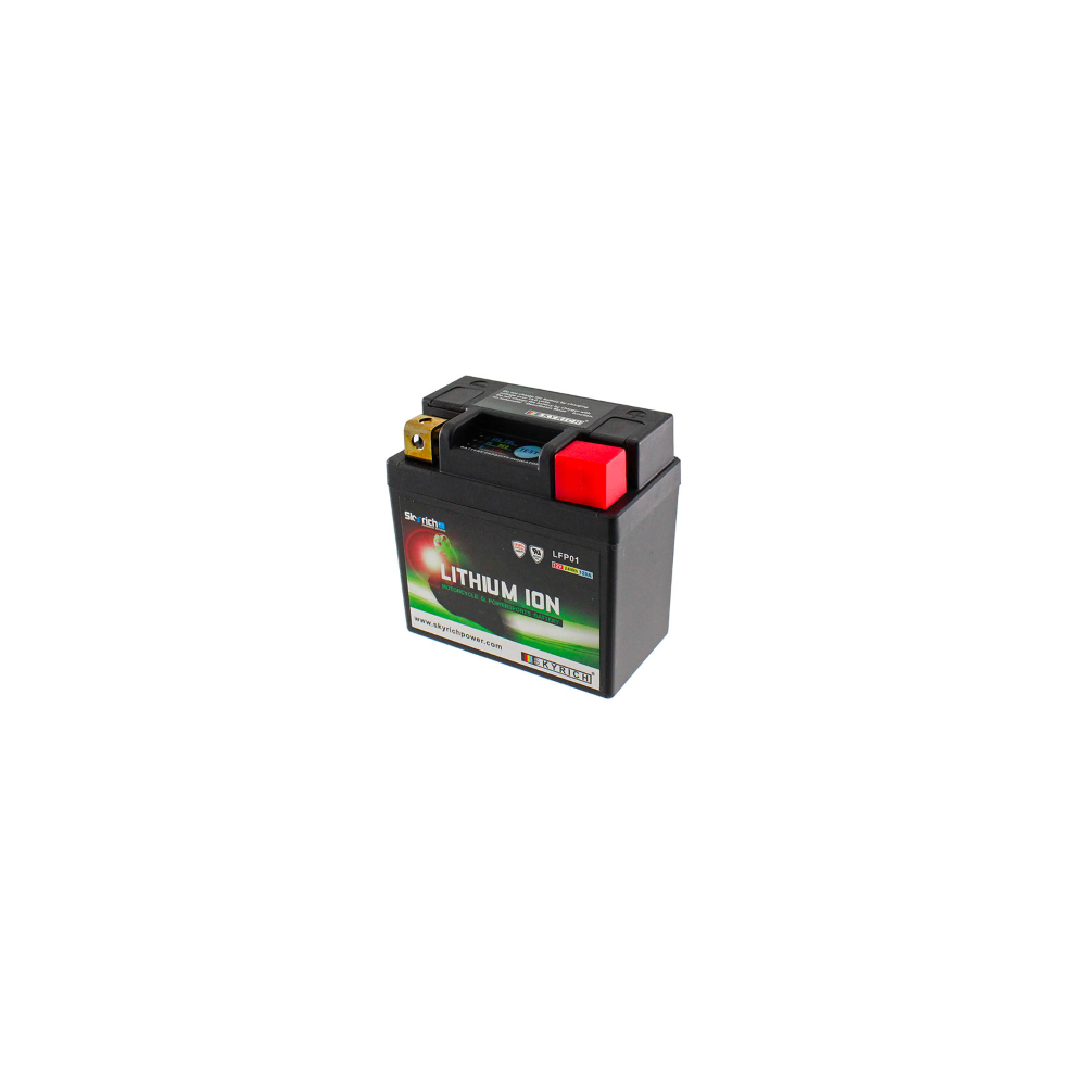 Batteria Skyrich Litio LFP01