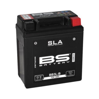 Batteria BS sla BB3L-B BS-Battery