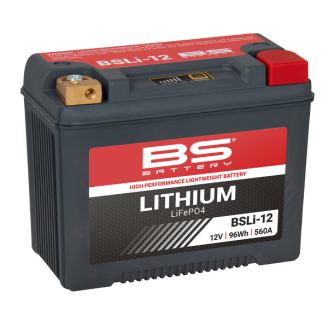 Batteria BS litio BSLi-12  BS-Battery