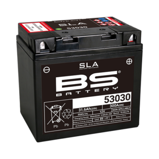 BS Battery sla 53030 Precharged Batteries BS-Battery