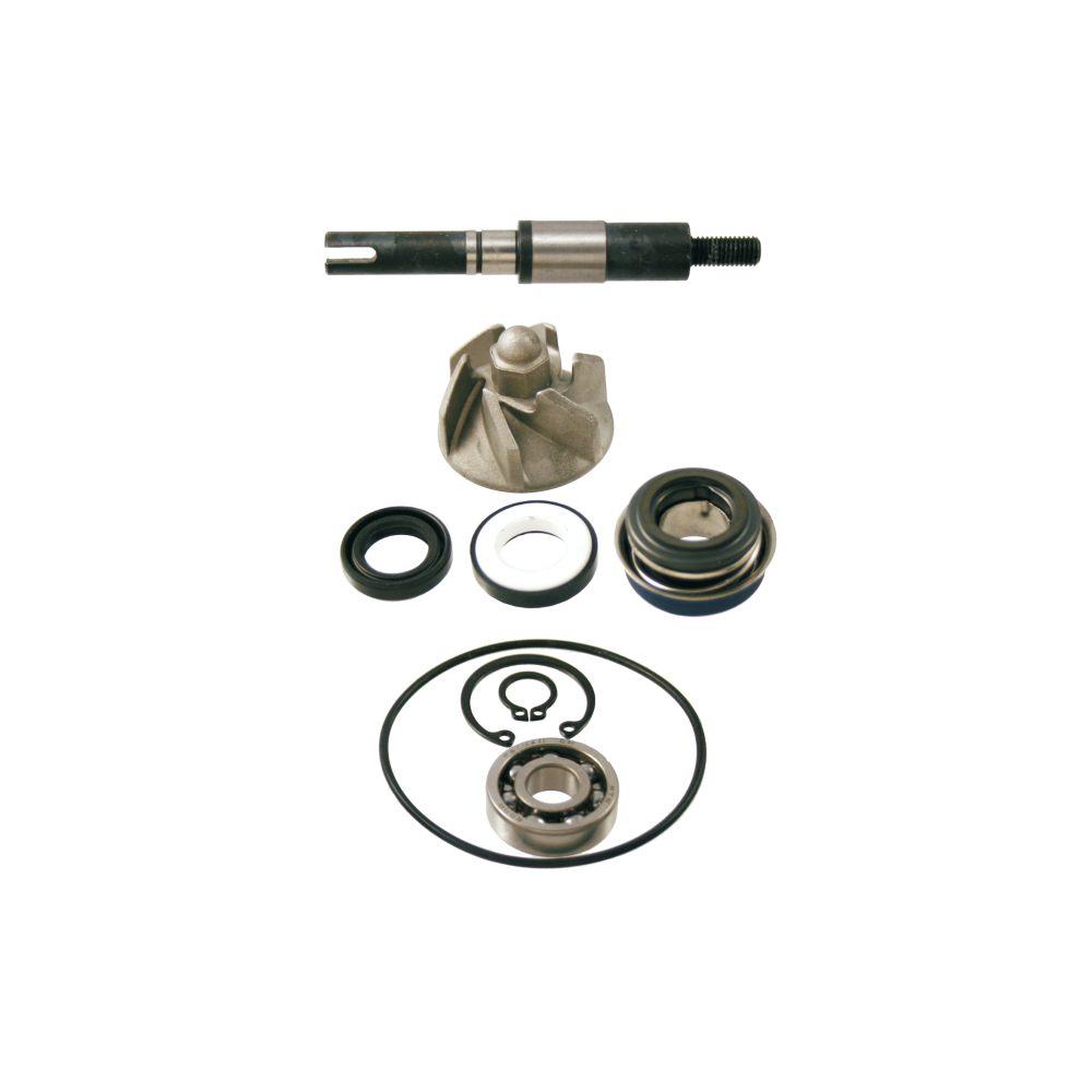 Kit Revisione Pompa Acqua Honda Sh 125-150cc 2001/2008