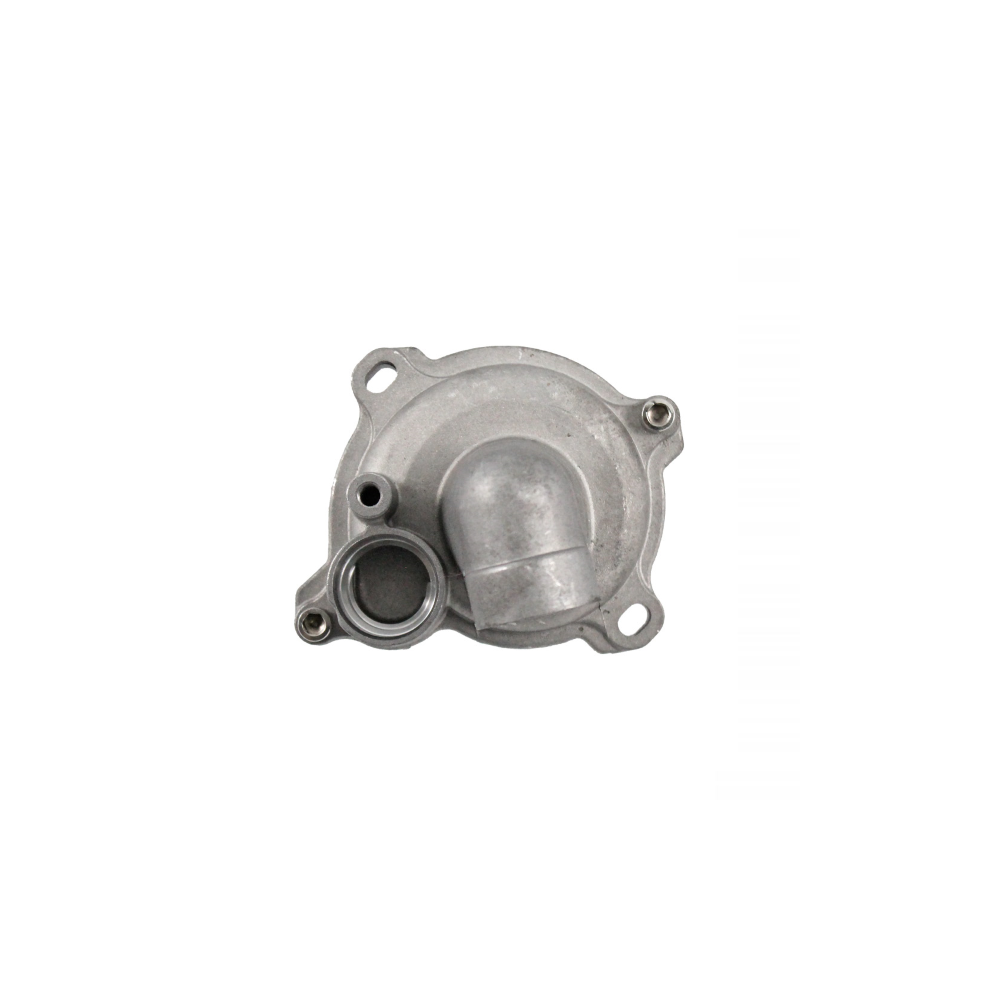 Pompa Acqua Completa T-Max 530cc
