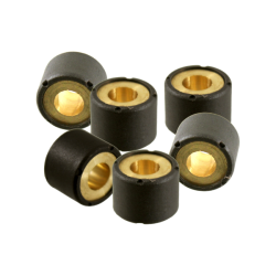 Kit Rulli Puleggia 20x15mm 15,5gr Rollen RMS