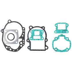 Serie Completa Guarnizioni Motore Peugeot Trekker/Sv/Elyseo 100cc
