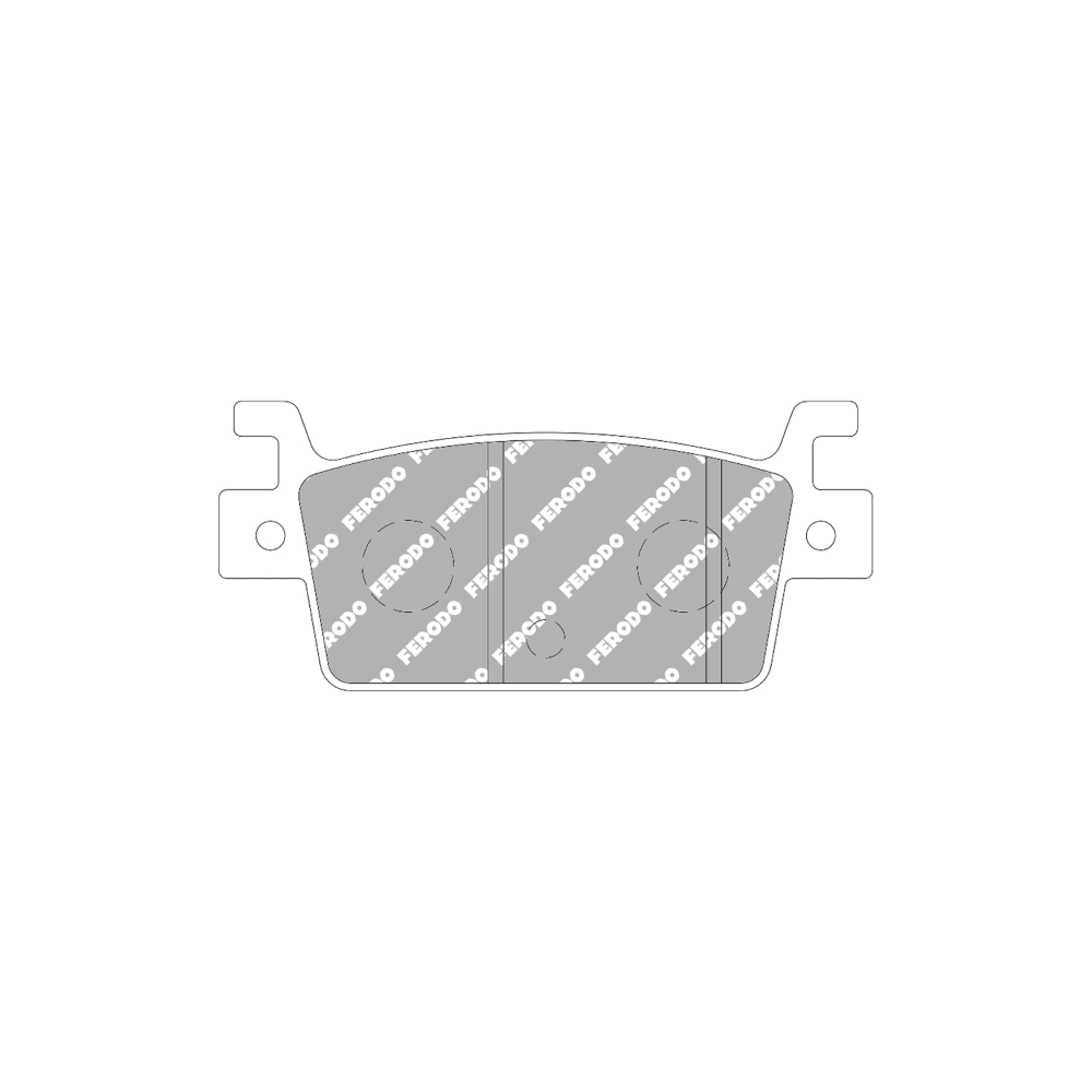Pastiglie Freno Ferodo Eco Friction FDB2304EF