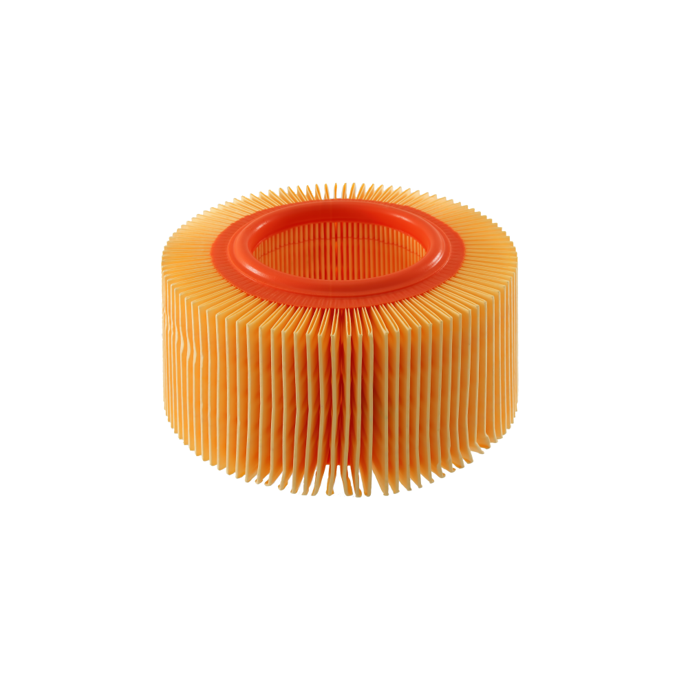 Filtro Aria Nypso Bmw R850