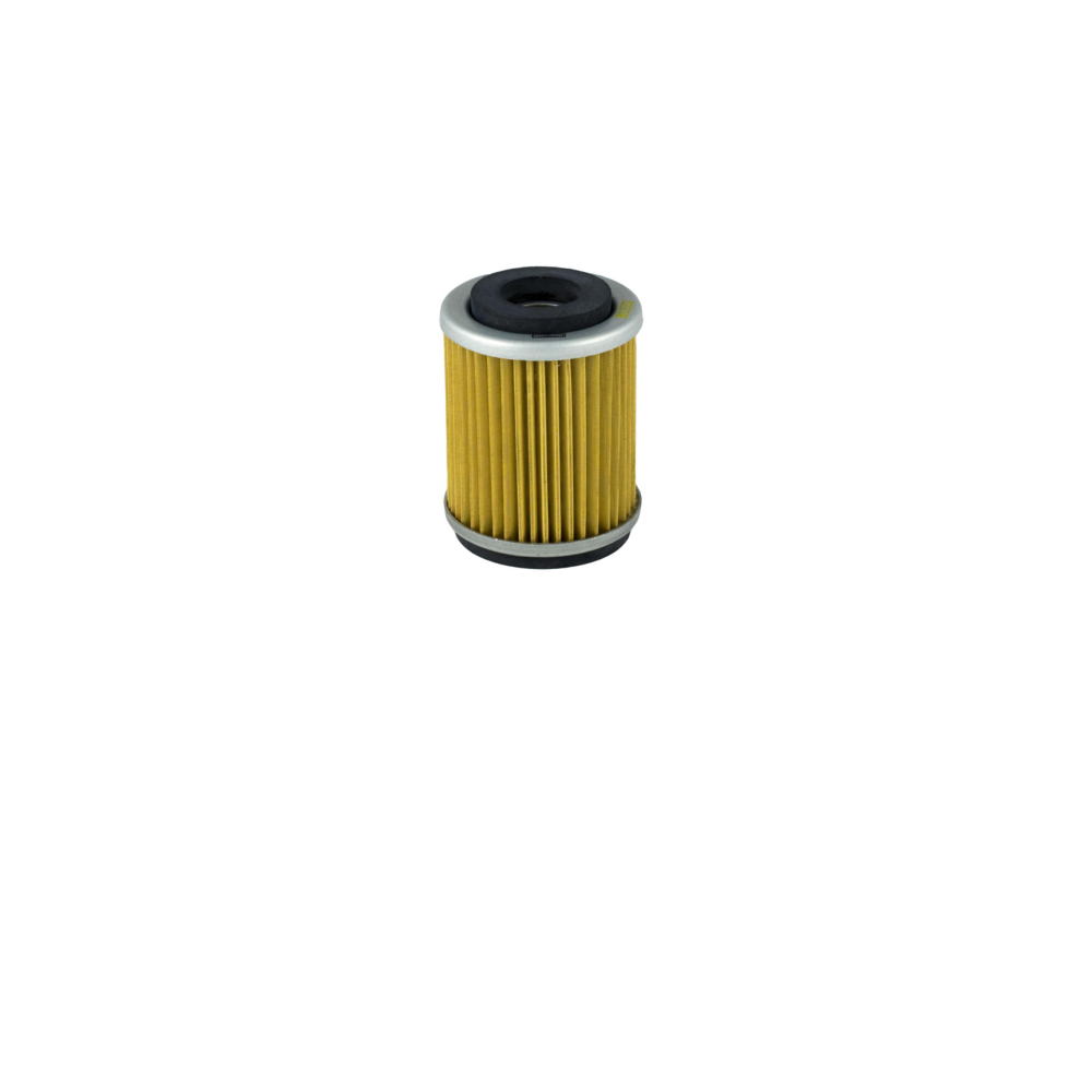 Filtro Olio Champion COF043