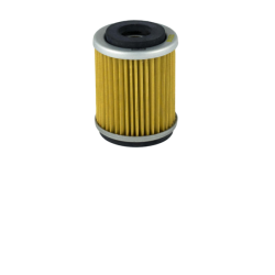 Filtro Olio Champion COF043