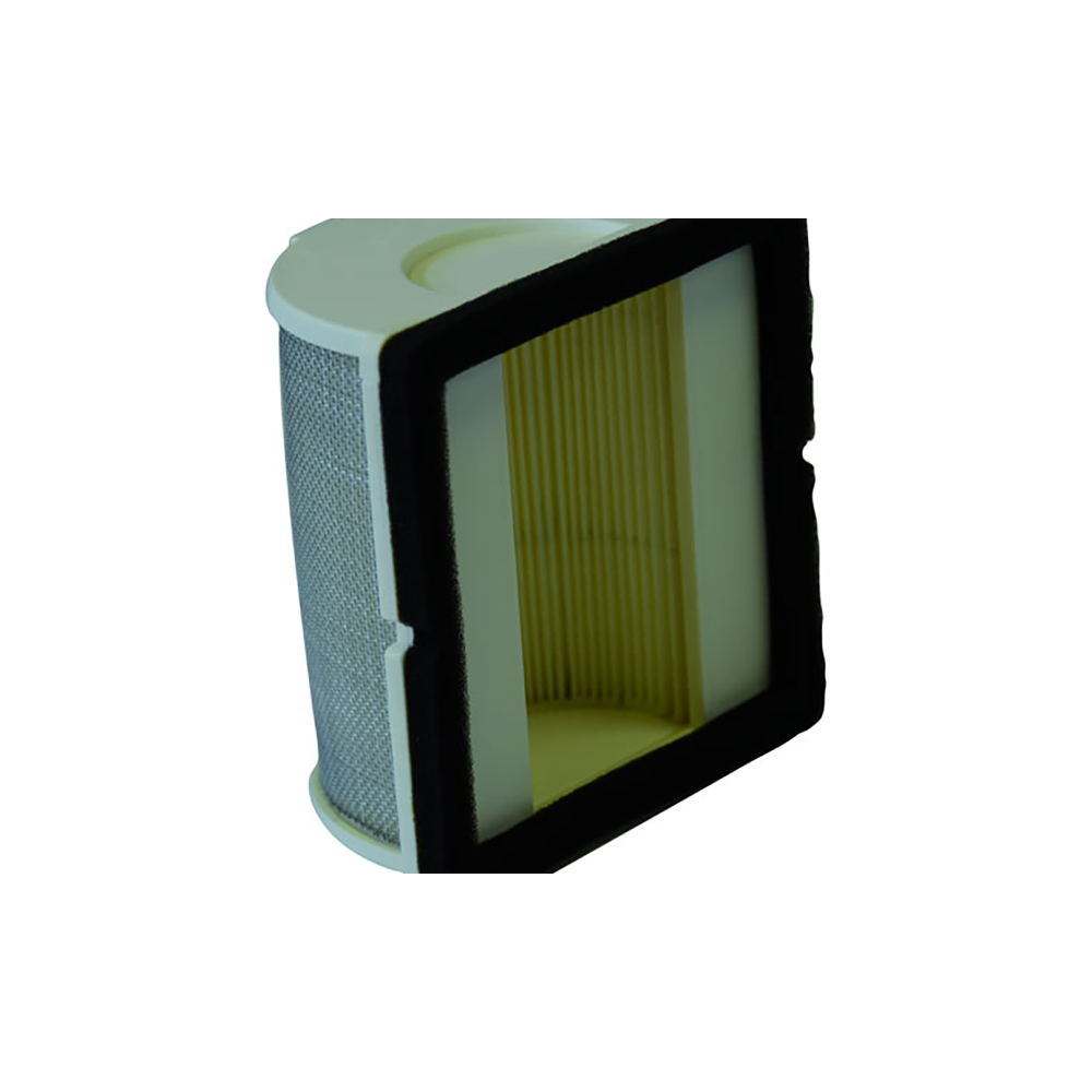 CHAMPION Filtro de aire CAF3909 Filtros de aire Champion