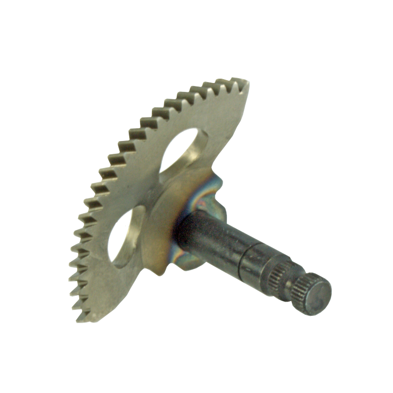 RMS Kick secteur de démarreur Malaguti F10Hier 50cc Engrenages de démarreur RMS