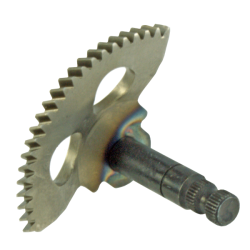 RMS Pedal de arranque sector Malaguti F10Ayer 50cc Engranajes de arranque RMS