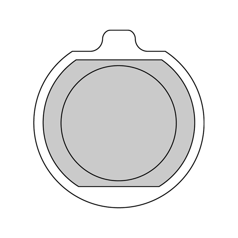 Pastiglie Freno Ferodo Platinum Road FDB220P Pastiglie Freno Ferodo