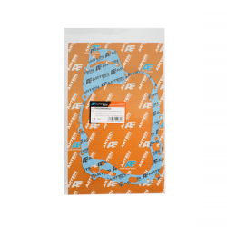 ARTEIN Junta Encendido Suzuki Burgman 400cc 4T 20032006 Juntas Artein