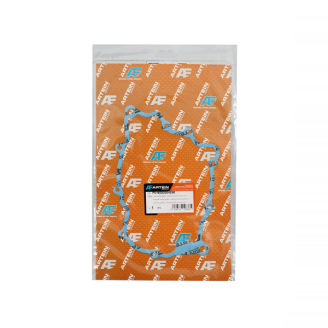 Collecteur d'Admission Piaggio Vespa Gt/Gtv 125cc Pochettes et étuis de collection RMS