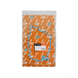 Guarnizione statore ARTEIN Piaggio Vespa GTSGTV 125cc Dichtungen Artein