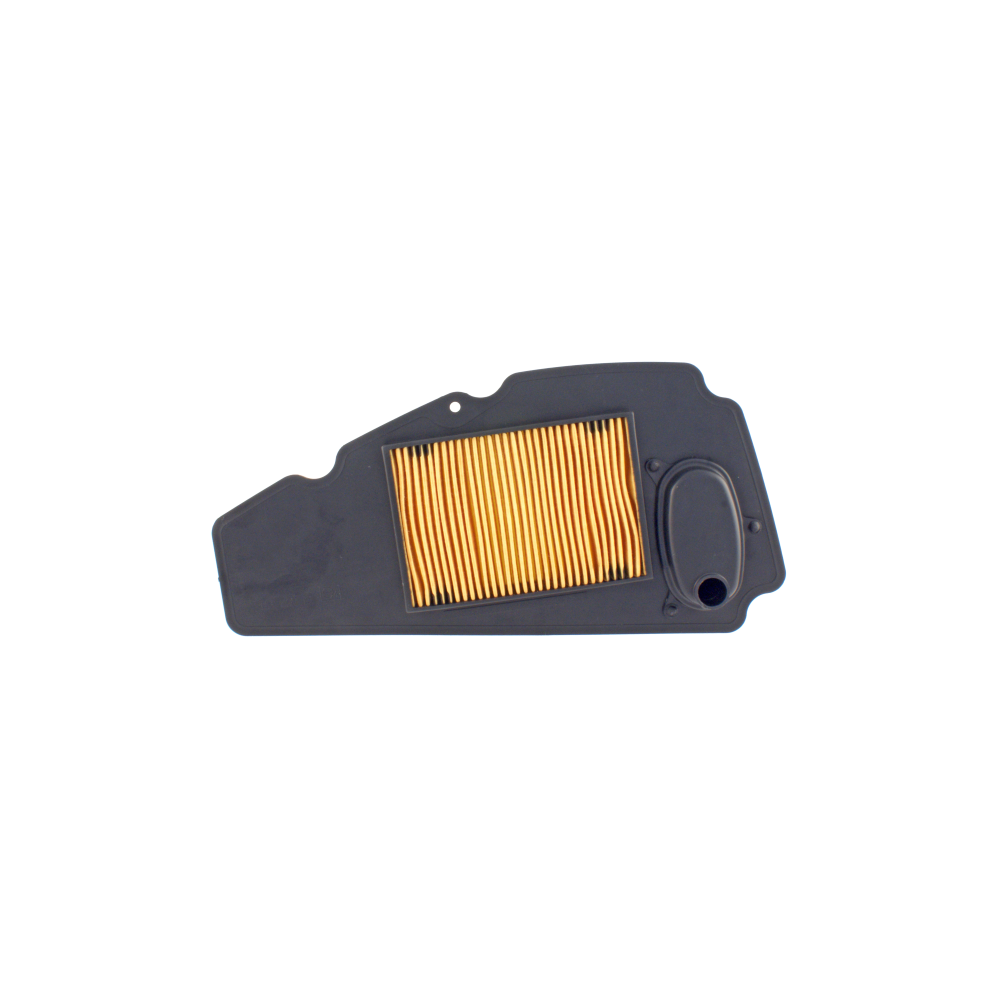 Filtro Aria Nypso Honda Forza 250cc 2005-2007 Nypso