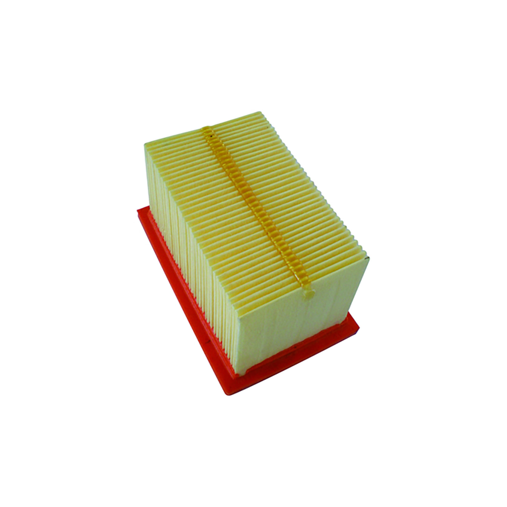 Filtro Aria Champion CAF6601