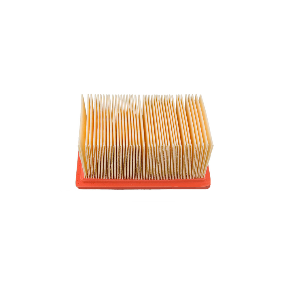 Filtro Aria Champion CAF6602