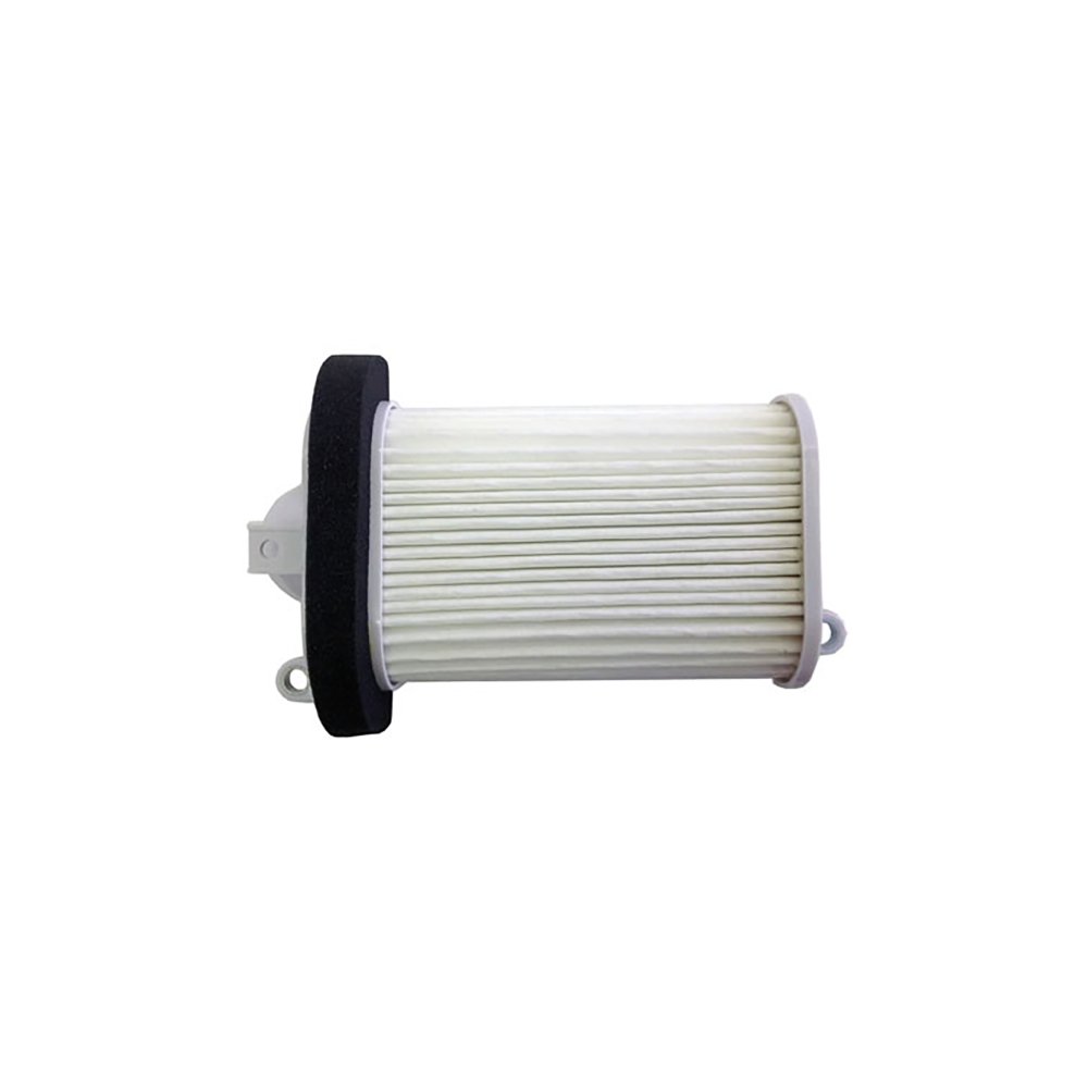 Filtro Aria Champion CAF3508