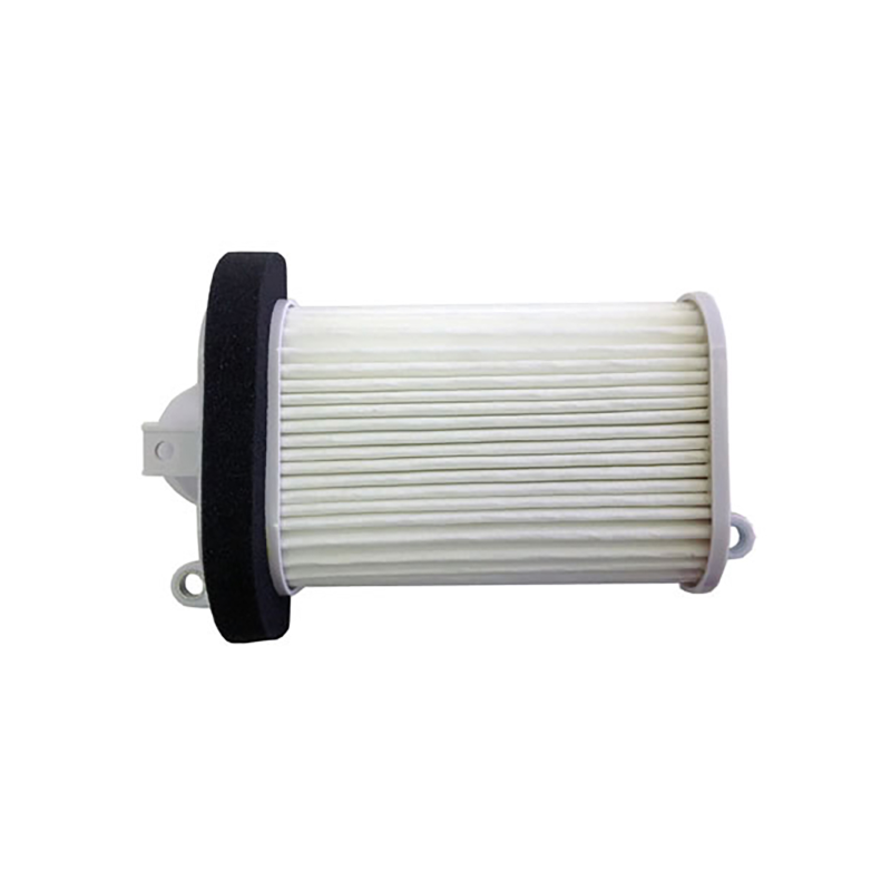 Champion Air Filter CAF3508 Air Filters Champion