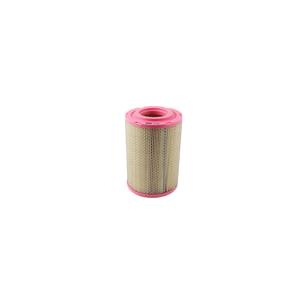 Filtro Aria Nypso Piaggio Ape Calessino - B076112P  Nypso