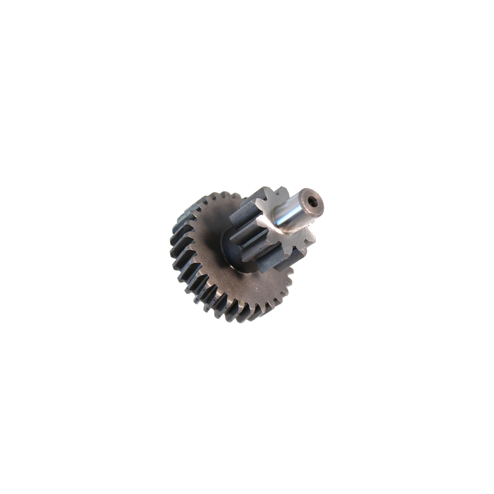 Ingranaggio Duplo Rinforzato z10 Denti Dritti z29 Denti Elicoidali Evok Ciao-Si-Bravo Con Variatore 178696
