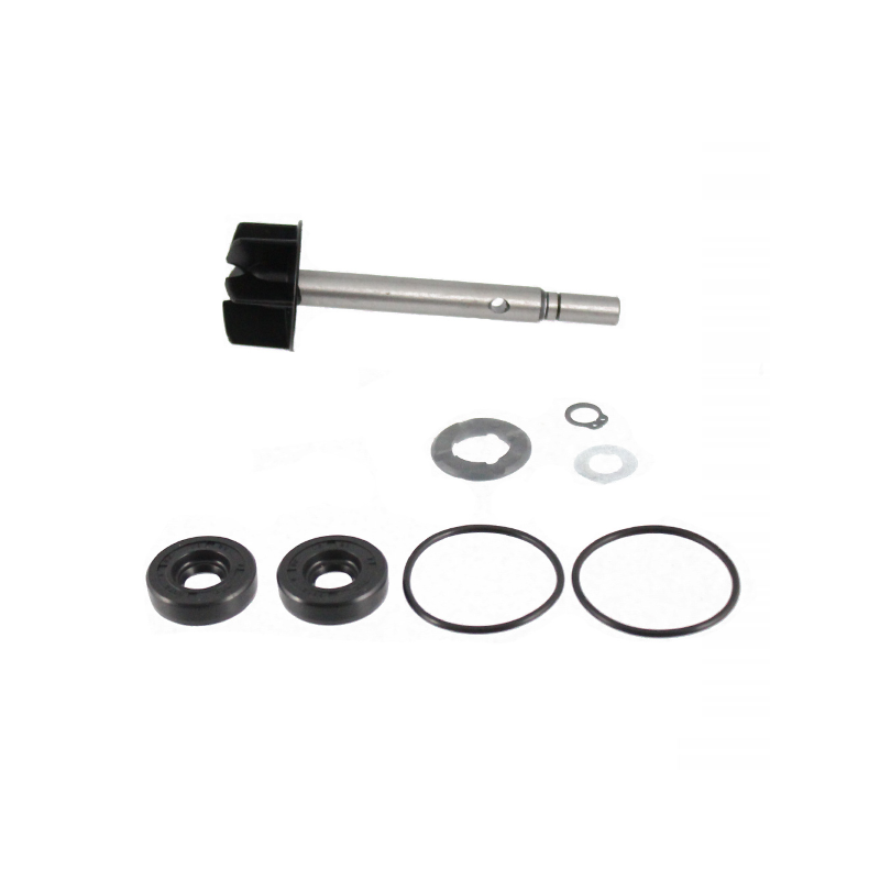 Kit Revisione Pompa Acqua Bmw Kit Revisione RMS