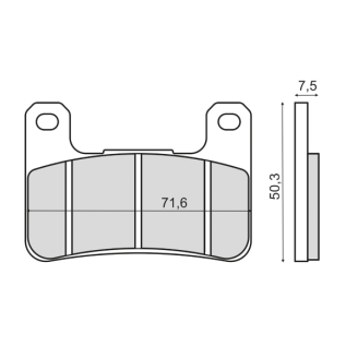 Pastiglie Freno RMS Organiche Kawasaki Z1000 Abs RMS