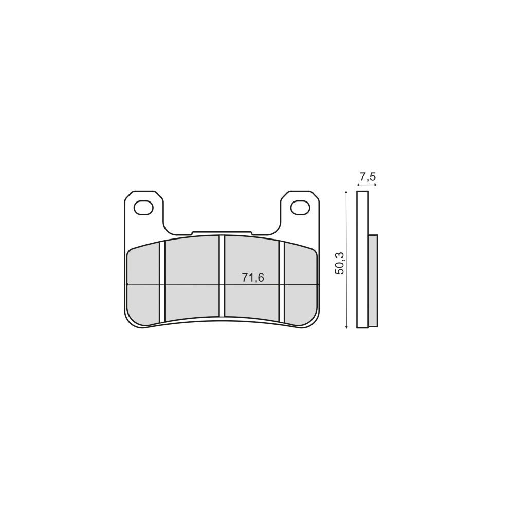 Pastiglie Freno RMS Organiche Kawasaki Z1000 Abs RMS