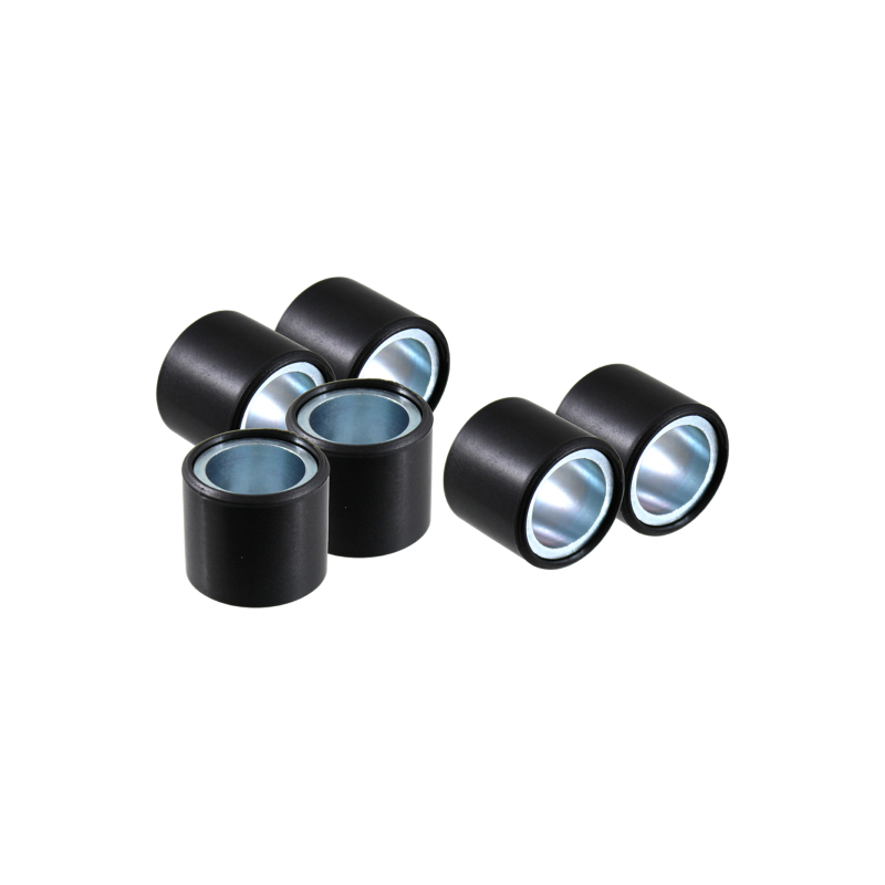 Jeux de rouleaux RMS 25x22mm 29gr Rouleaux de poulie RMS