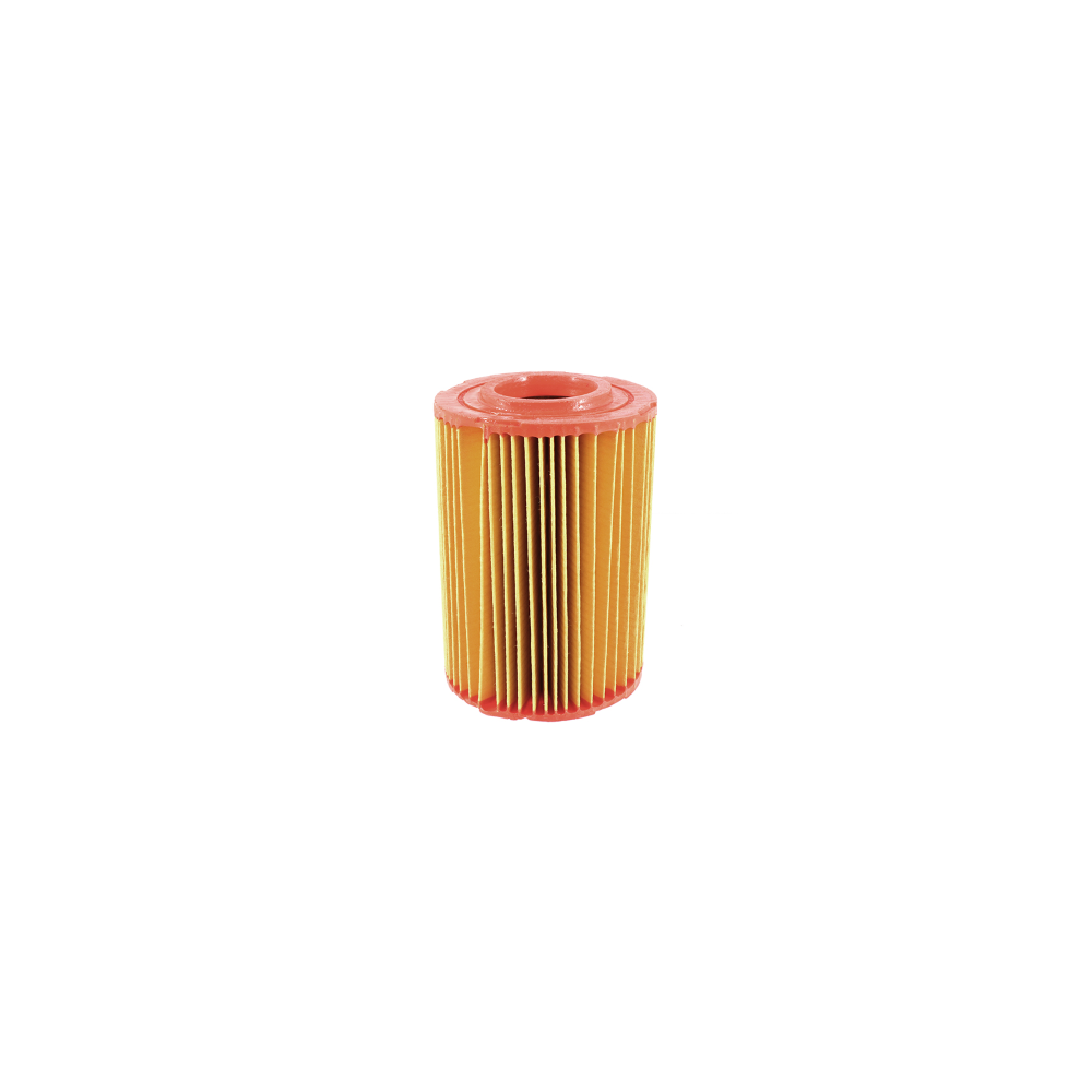 Filtro Aria Nypso Piaggio Porter 1300cc