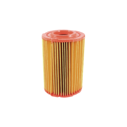 Filtro Aria Nypso Piaggio Porter 1300cc
