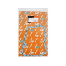 Guarnizione statore ARTEIN Yamaha YP MajestyX-CityX-Max 250cc Dichtungen Artein