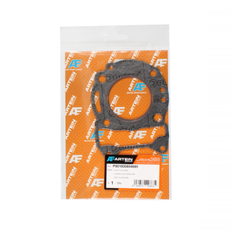 Joint de cache culasse ARTEIN Piaggio Hexagon Gtx 125cc 4T Joints Artein