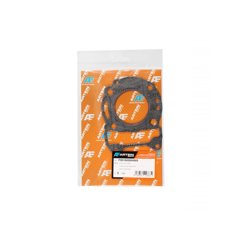 Artein Gasket Cylinder Piaggio Hexagon Gtx 125cc 4T Gaskets Artein