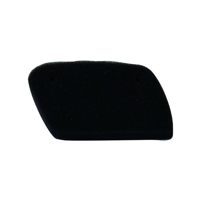 Filtro Aria Champion Y318 Filtri Aria Champion