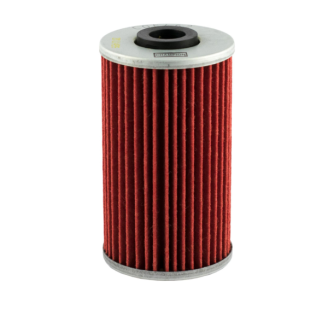 Filtro olio Champion COF462 Ölfilter Champion