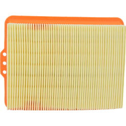 Filtro Aria Champion CAF6801