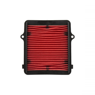 Filtro Aria Champion CAF1609