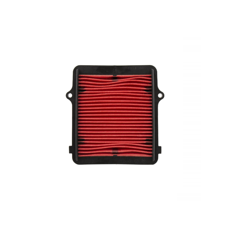 Filtro Aria Champion CAF1609 Filtri Aria Champion