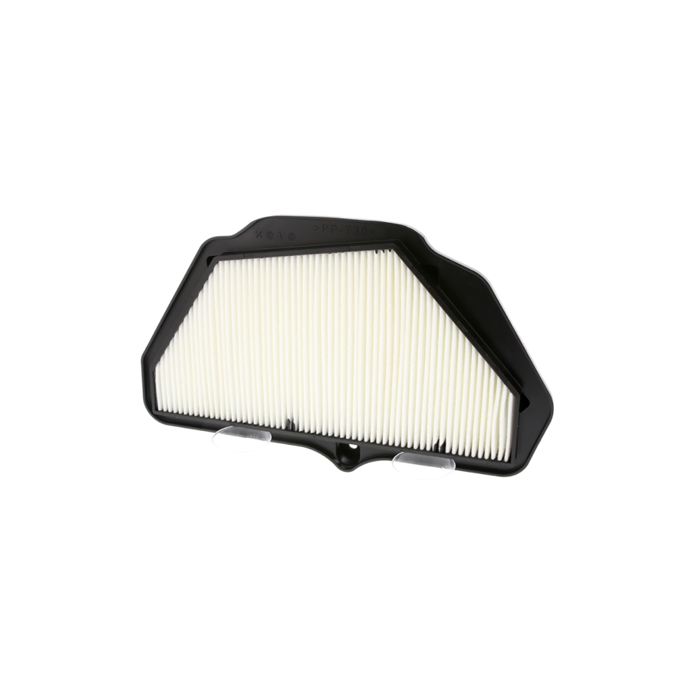 Filtro Aria Champion CAF1921