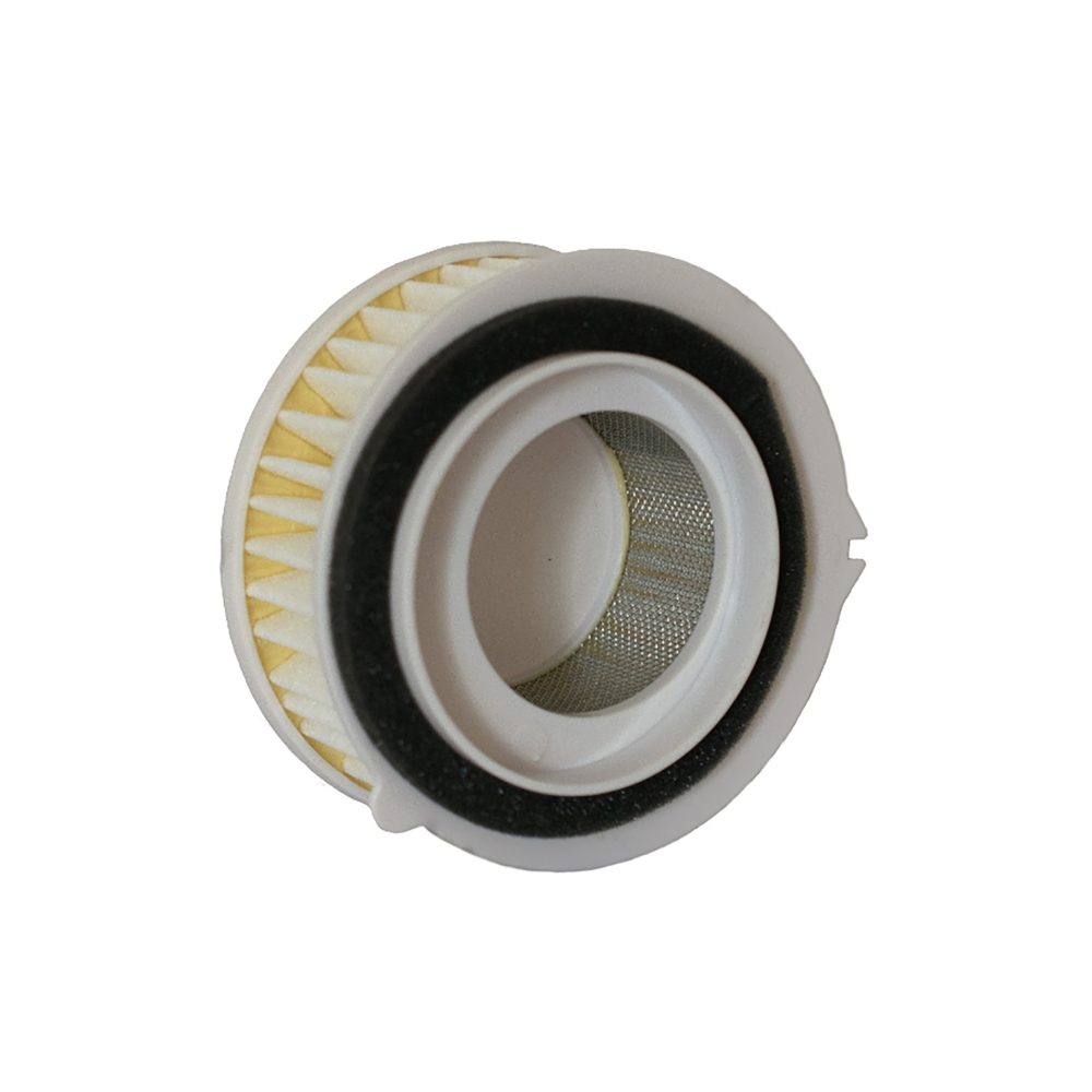 Filtro Aria Champion CAF3607